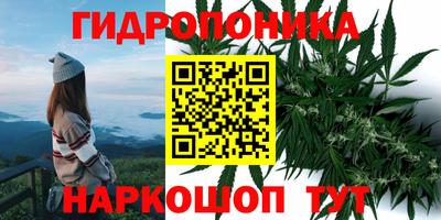 дмт Свободный