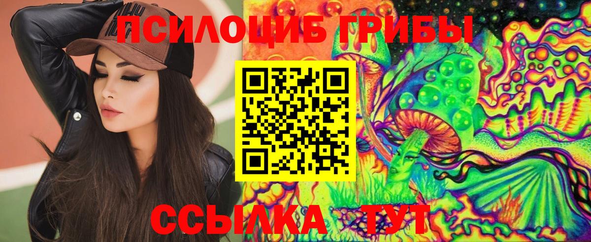 Северобайкальск  Галлюциногенные грибы Psilocybe  Псилоцибиновые грибы Cubensis  Вход с VPN 